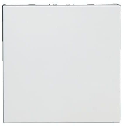 Legrand 077071 Obturateur Mosaic, 2 Modules, Blanc