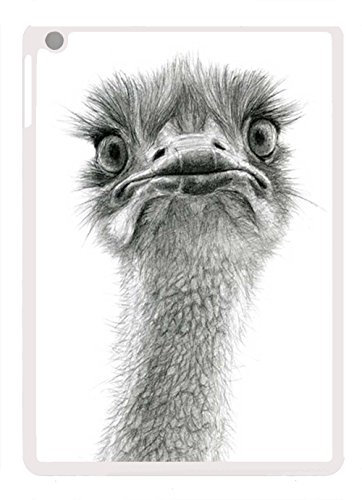 Myler Olivenkopfgebisse Comfort Level 2 (MB04) 12mm - Size 11.5