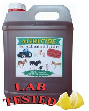 Amaze-uk Kennel Disinfectant - Strong Odour Remover, Deodoriser - Agricide 5 Litres - 6 Scent Choices (Lemon Fresh)