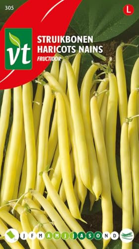 Haricots Fructidor Semences