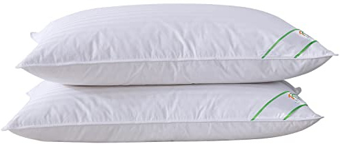 SUFUEE Par de almohadas de plumas y plumón de ganso de lujo con funda 100% algodón (estándar (50% plumón))