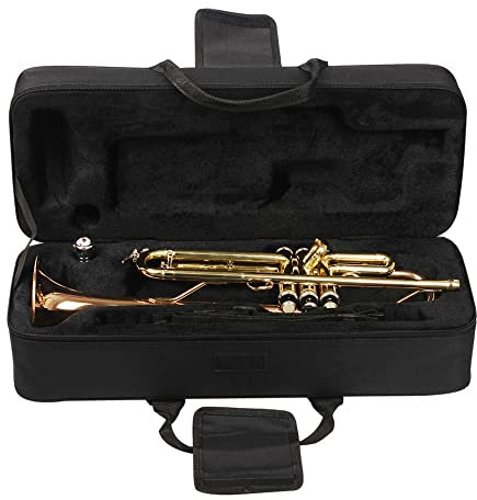 Hapihom Tragbare Trompeten-Aufbewahrungsbox, verdickter, leichter Rucksack, verstellbare Träger, Blasinstrumente-Zubehör Schwarz