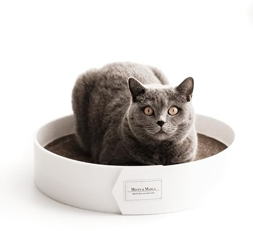 Minty&Marla® | Kratzbrett inkl. Katzenminze | Kratzmöbel für Katzen | Kratzpappe | Stylisches Kratzboard Katze | Katzenbett für Katzen mit Filzrand | Schlafplatz und Kratzmöglichkeit | Weiß