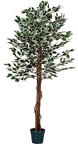 PLANTASIA Kunstpflanze Ficus Benjamini 160 cm