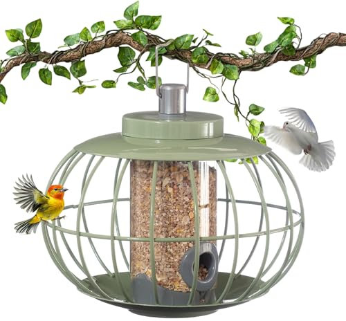 Happy Beaks The Nuttery Squirrel-Proof Lantern Bird Seed Feeder in Green Steel Cage Easy to Hang and Clean