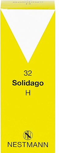 SOLIDAGO H 32 Tropfen 100 ml