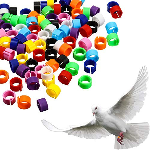 300 Stück 8 mm Tauben Fußringe Bein Bänder Wachteln Hähnchen Beinringe aus Plastik Bunte Klemmringe für Hühnchen Zwerghuhn Finken Taube Wellensittich Kleines Geflügel
