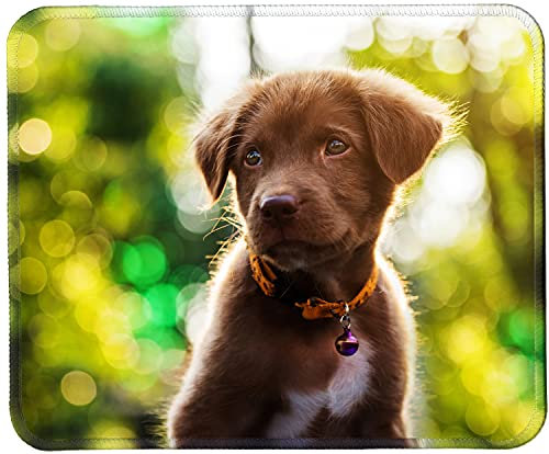 Silent Monsters Mauspad 240 x 200 mm Stoff Mousepad Welpe Hund - Vernähter Rand, rutschfest & leise, Gaming Büro Office Homeoffice - 24 x 20 cm Mouse Pad Mat - Mausunterlage klein f alle Maus Arten