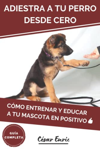 Adiestra a tu Perro Desde Cero: Cómo Entrenar y Educar a tu Mascota en Positivo. Guía Completa: Técnicas, Trucos y Habilidades para el Adiestramiento Canino de tu Cachorro