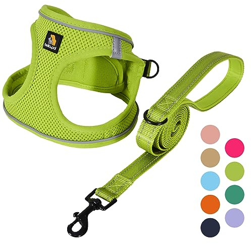 BELLA & PAL Ensemble harnais et laisse pour chien, harnais Step-in pour chiot, maille respirante avec bandes réfléchissantes, gilet anti-traction, pour chiots, chiens de très petite taille, vert