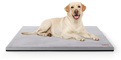 Knuffelwuff Orthopädische kuschelige Hundematte Berrith aus weichem Kaninchenfell-Imitat 80x55cm Grau - Hundekissen für große, mittelgroße und kleine Hunde - Für Zuhause, Auto, Wohnmobil, Wohnwagen