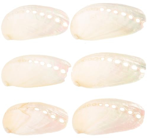 POPETPOP 6 Coquillages D'ormeaux Naturels Beige 6 Pièces Style Plage pour Décoration Mariage et Présentations Élégantes en Coquille Naturelle