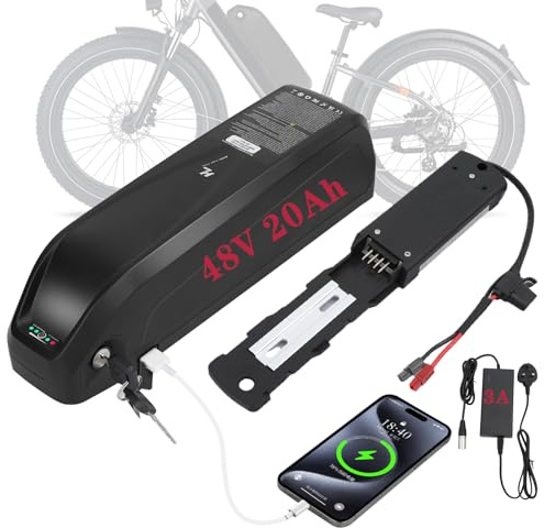 R TEAM Ebike Battery 48v 20AH with 3A Charger, USB Port,Built in Samsung 50GB Cells,Lithium Electric Bike Battery for Rear or Front 30A 17A Controller Motor (Bafang, AW, KT most ebike conversion kit)