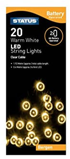 Status Bergen 20 LED String Lights - Warm White, 1.52m