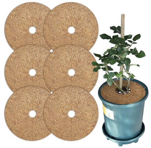 Birllaid Kokos Mulchscheibe,6 Stück 30cm Durchmesser Kokosmatte,Mehrfach Verwendbar Kokos Mulchscheibe,Kokosscheibe Pflanzen schutzmatte Nachhaltig Pflanzenschutz Frostschutz Kälteschutz Schutz
