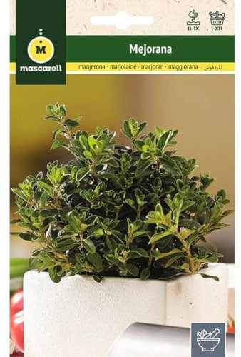 Mascarell Semillas, MEJORANA, Semillas de Hierbas Aromáticas para Plantar, Crea tu Propio Huerto en Casa, 1 Gramos
