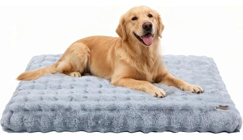 BingoPaw Panier Chien Grande Taille: 120x90x12cm Coussin Chien XXL Déhoussable et Lavable en Machine, Tapis Matelas Lit, Base Antidérapant Tissu Peluche Doux, Gris