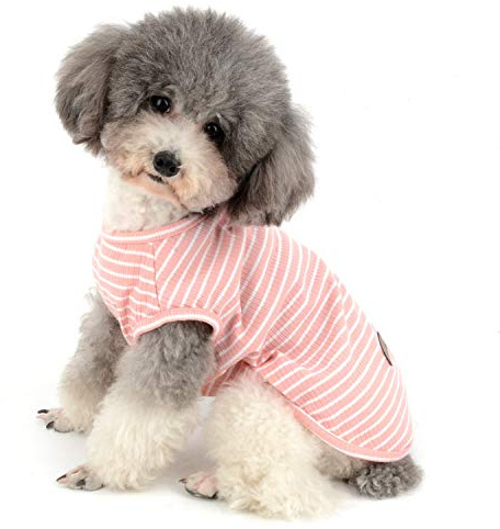 Zunea Chemises pour Petit Chien Chat T-Shirt Rayé D'été Cool en Coton Doux Vêtement pour Chihuahua Chiot Chien Yourkshire Rose M