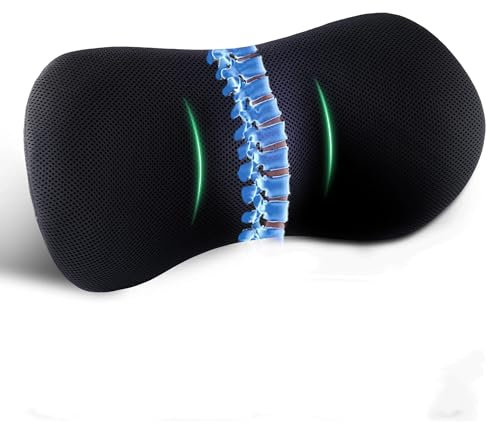 EGO HOME Lendenkissen Charcoal Memory Foam Ergonomisches Rückenkissen, Lendenwirbelstützkissen Memory-Schaum, Rückenpolster für Bürostuhl, Autositz, Lendenwirbelbett, Linderung von Rückenschmerzen