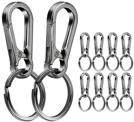 10 Stück Karabiner Schlüsselanhänger Karabinerhaken Schlüsselanhänger Klein Schlüsselring mit Karabiner für Aufhängen im Rucksack Autoschlüssel (Grau)