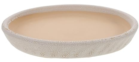 COLLBATH Bandeja Pequeña de Cerámica para Macetas Redonda 20 Cm, Soporte para Plantas de Interior, Plato Recogedor de Agua para Suculentas y Jardinería Doméstica