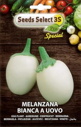 SEMI SEMENTI DI MELANZANA BIANCA A UOVO IN BUSTINA