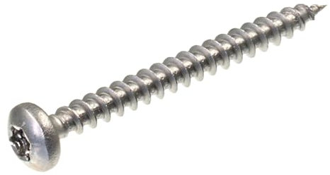 SECCARO Viti per truciolato a testa semicircolare 3 x 25 mm, in acciaio inox V2A VA A2, viti per legno con filettatura completa, TX/esagono incassato, rotonde, 250 pezzi