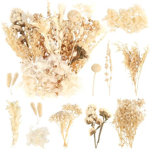 Fiori Secchi Naturali, Fiori Secchi Naturali Veri Petali e Foglie Pressati per Resina, Eterna Fiore per Fai da Te, Scrapbooking, Candele e Decorazione