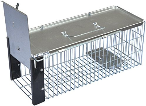Heavy Duty Rat Trap, Metal Live Catch Cage with Transport Handle, Humane Rodent Catcher