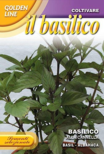SEMI DI BASILICO ALLA CANNELLA FRANCHI SEMENTI