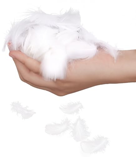 400pcs 4-8cm Feathers for Crafting Dyeable Natural White Feathers in Different Sizes