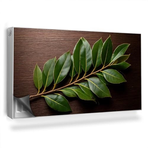 Alfombrilla Magnética 110x60 cm para Radiador Fácil Instalación Magnético Panel Decorativo Protección contra el Polvo y Daños - Ramita con Hojas oscuras sobre un Fondo de Madera