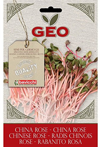 Geo VRV1403 Keimsaaten Chinese Rose, braun
