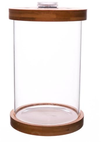 Fish Bowl with LED Lighting Glass Display Dome Cloche Mini Fish Tank Betta Aquarium with Bamboo Base for Home Living Room Bedroom Office Decoration Brown