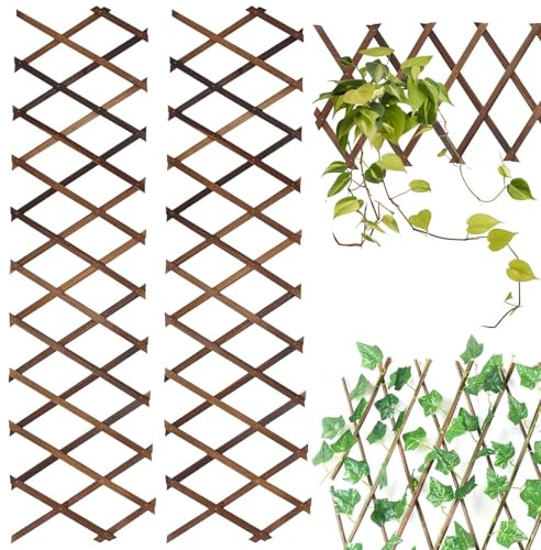 Lot de 2 treillis extensibles en bois - 140 x 36 x 0,5 cm | Clôture de jardin couleur bois - Treillis de jardin - Cloison de séparation pour plantes grimpantes - Pot de fleurs suspendu