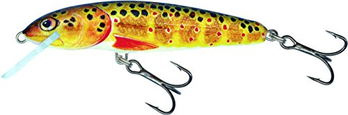 Salmo Minnow wobbler/crankbait t Trout Flottant 7 cm Marron Braun - Trout 7cm Long / 6g