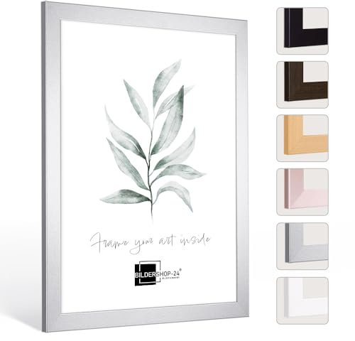 Bildershop-24 Bilderrahmen Monza in Silber in 50 X 75 Fotorahmen, Wechselrahmen, Posterrahmen, Puzzlerahmen