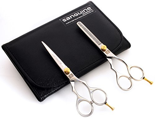 Ensemble Ciseaux de coiffure et ciseaux à effiler, 14 cm, étui de présentation