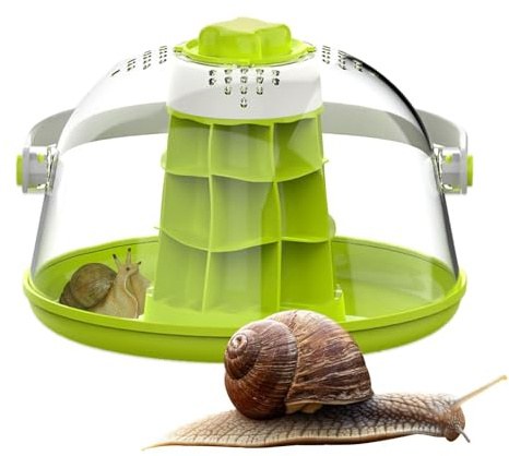 Terrario Caracoles, Hábitat De Reptiles De Terrario, Caja De Alimentación De Reptiles, Transpirable Miini Pet House para Caracoles,