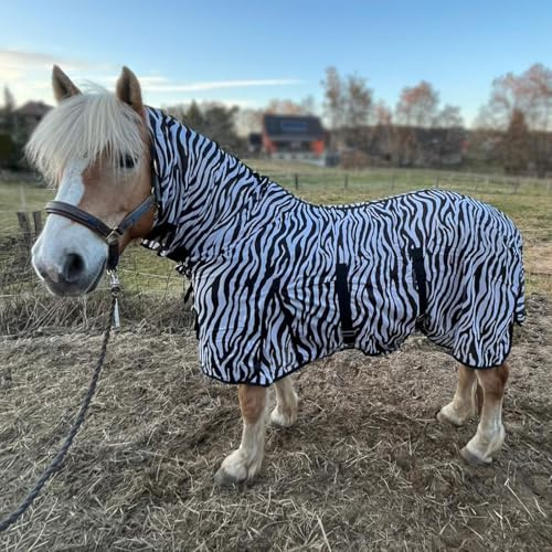 Brama-West 135 Manta antimoscas con cuello para caballos, ZebraProtect – Manta para caballos contra insectos molestos con cinturones abdominales, cierre frontal, pliegue y cola – Manta para insectos