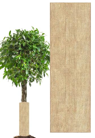 Cappuccio di protezione delle piante Copertura a prova di inverno invernale, sacco naturale di juta, protezione del riutilizzabile, resistente ai raggi UV, resistenti all'ambiente, resistente all