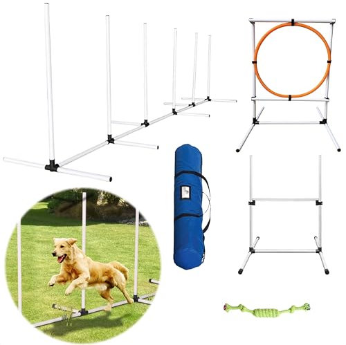 AYOO Agility für den Hund, Agility mit hundetunnel, Hunde Agility-Set, Hundetraining, Tunnel, Slalom, Hürde, Tragebeutel, Kostenloses Spielseil, Ideal auf Gras und Fliesen!
