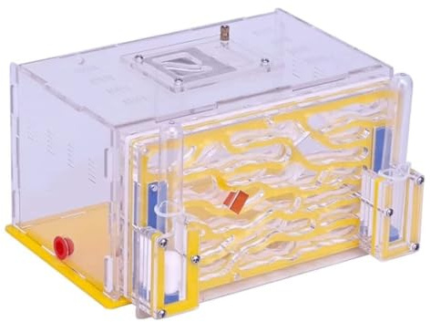 AZHKJKZH Formica Nido Fattoria di Formiche Castello Nido Osservazione Scientifica Interessato All'alimentazione delle Casette per Formiche(B)