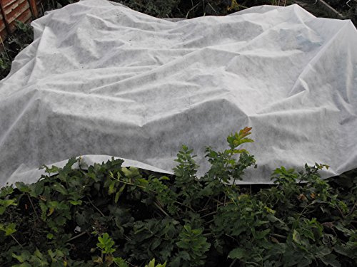easynets Frost protection Weed pest control Garden/Insulation Fleece (3m x 5m)