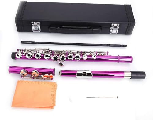 Flöjt, professionella C-flöjter med stängt hål, harmoni orkesterflöjt, C 16 tangenter stängd hålflöjt, musikflöjt nickel för orkester, med fodral, musikinstrument för skolband