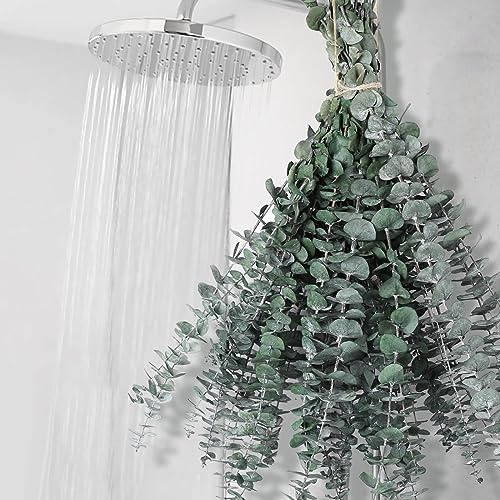 12 PCS Dried Eucalyptus Stems for Shower - 17 Preserved Eucalyptus Stems Shower Plant, Fresh Real Eucalyptus Leaves for Shower Hanging, Home Decor, Dried Flowers