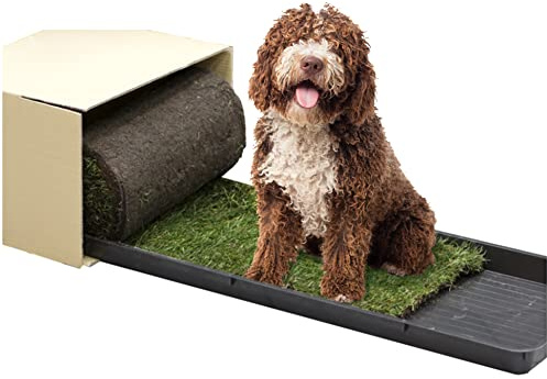 PetGround Empapador Ecológico para Perros, Alfombrilla de Césped Natural, Inodoro, Reutilizable, Caja Impermeable, Pack XL (120cm x 40cm)