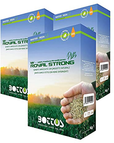 Semi per Prato Royal Strong Plus 1 Kg OFFERTA 3 CONFEZIONI, Sementi Conciate, 100% Festuca Arundinacea Tappeto Erboso