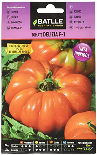 Semi Batlle – Pomodori F-1