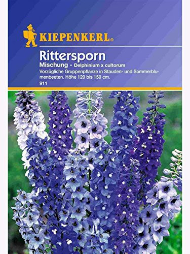 Kiepenkerl - Blumen-Saatgut: Delphinium Rittersporn mehrjährige Mischung